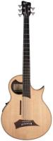 Warwick Alien Acoustic Bass 5-String Image